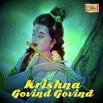 Krishna Govind Govind - Kailash Kher Song Download
